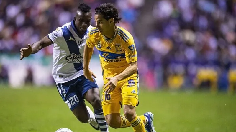Soi Kèo Bóng Đá - Tigres vs Puebla 09/08/2025 Tigres nhiều khả năng sẽ chỉ thắng Puebla với một tỉ số tối thiếu