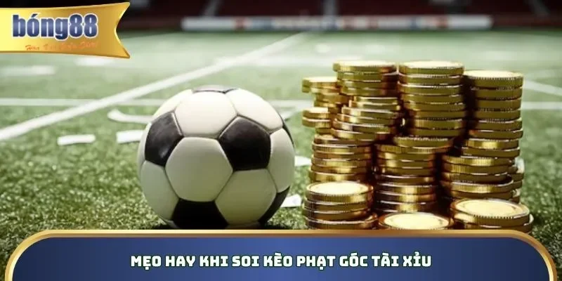 Tips mẹo hay được chuyên gia chia sẻ khi cá cược